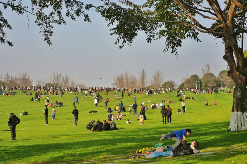 重慶中央公園，市民在草坪上曬太陽、放風箏。重慶日報.jpg