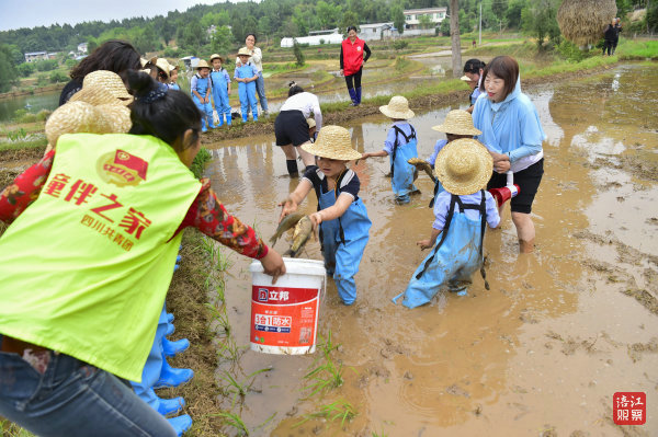 游仙6.jpg