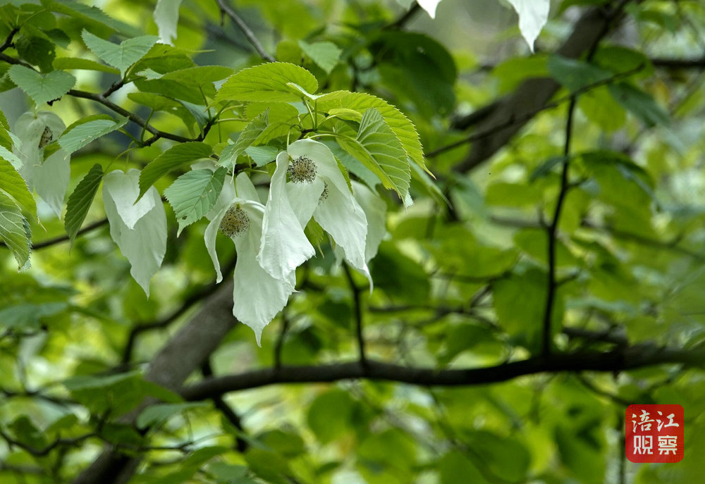 生態(tài)環(huán)境日6_1.jpg